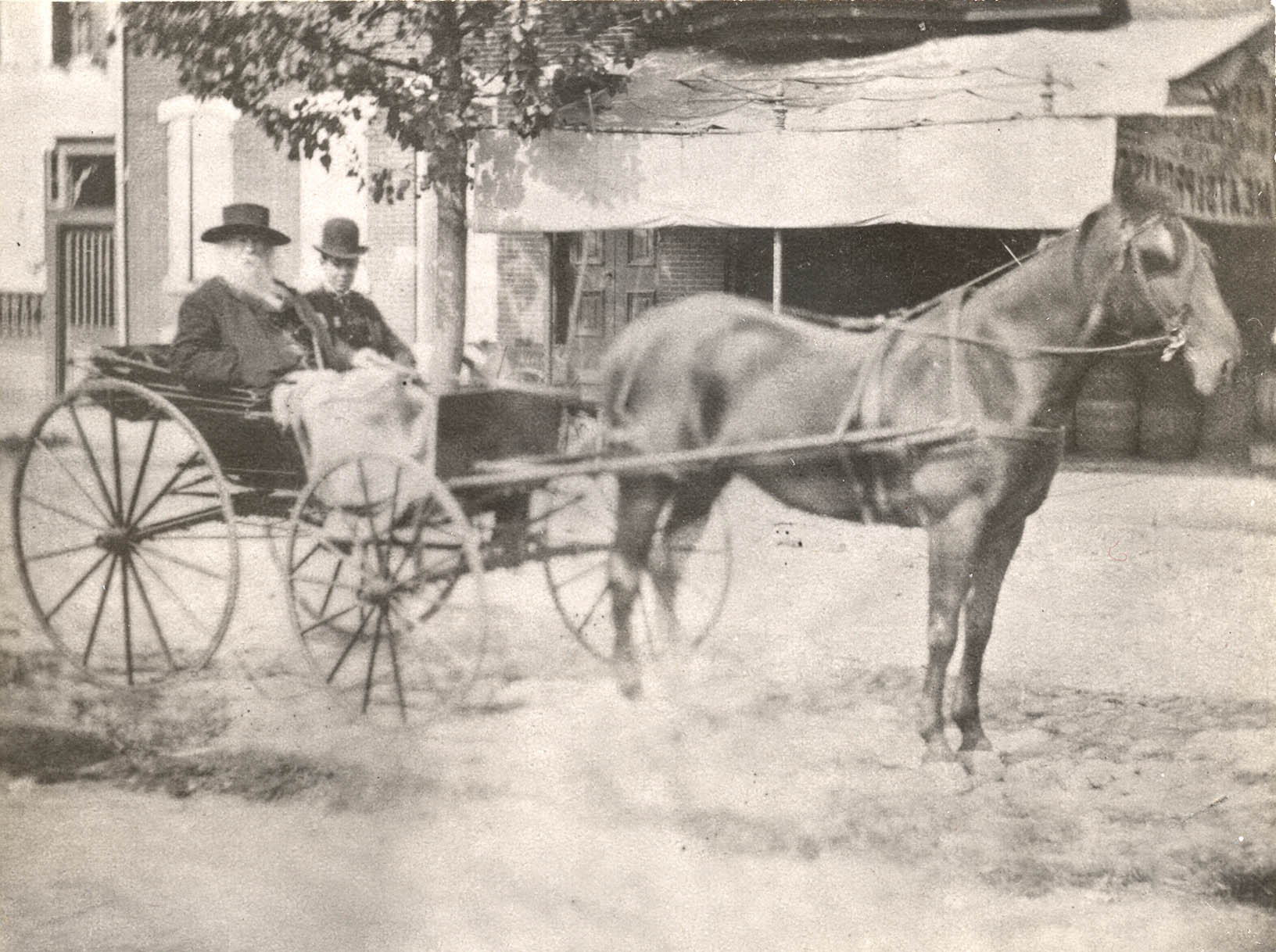 The phaeton and horse Whitman received as a gift from friends in 1885.