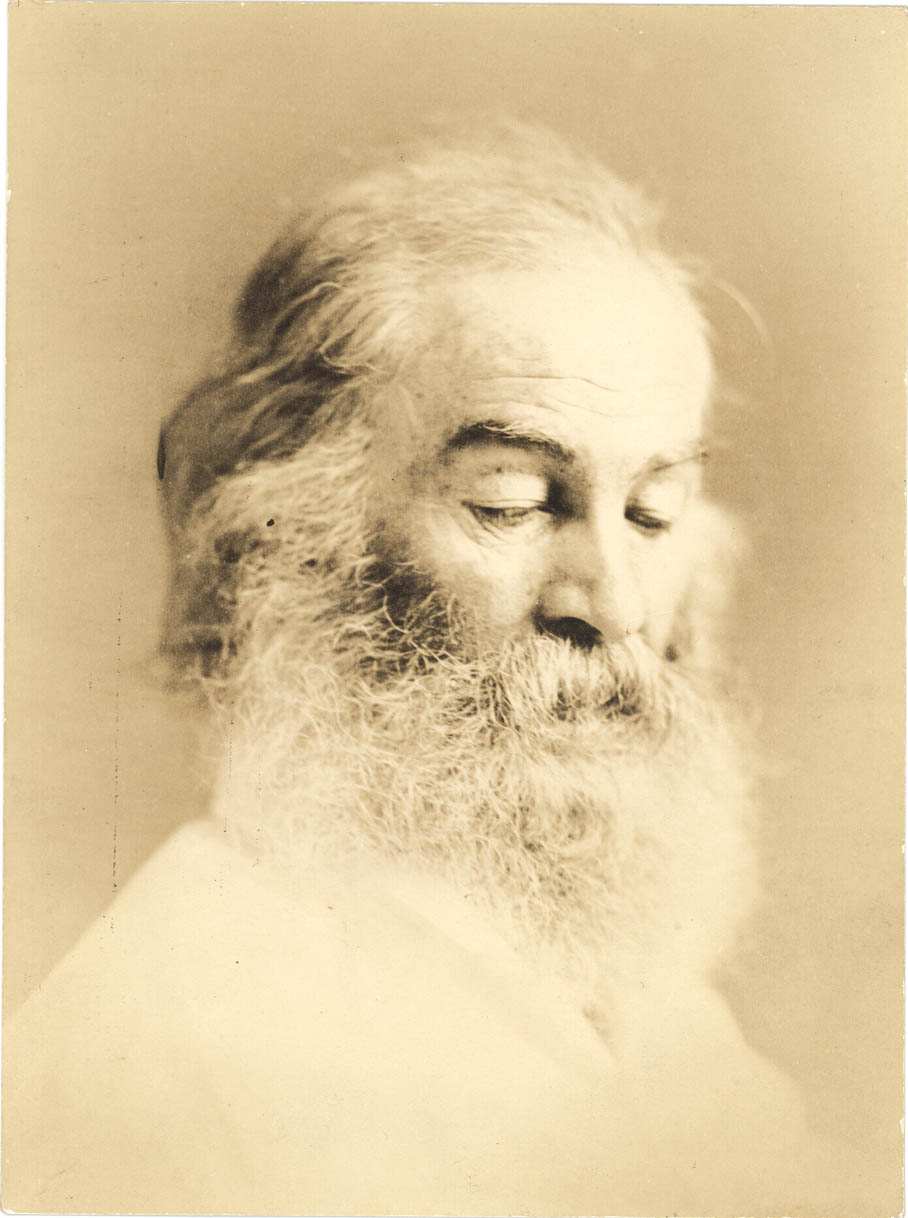 a Whitman portrait 