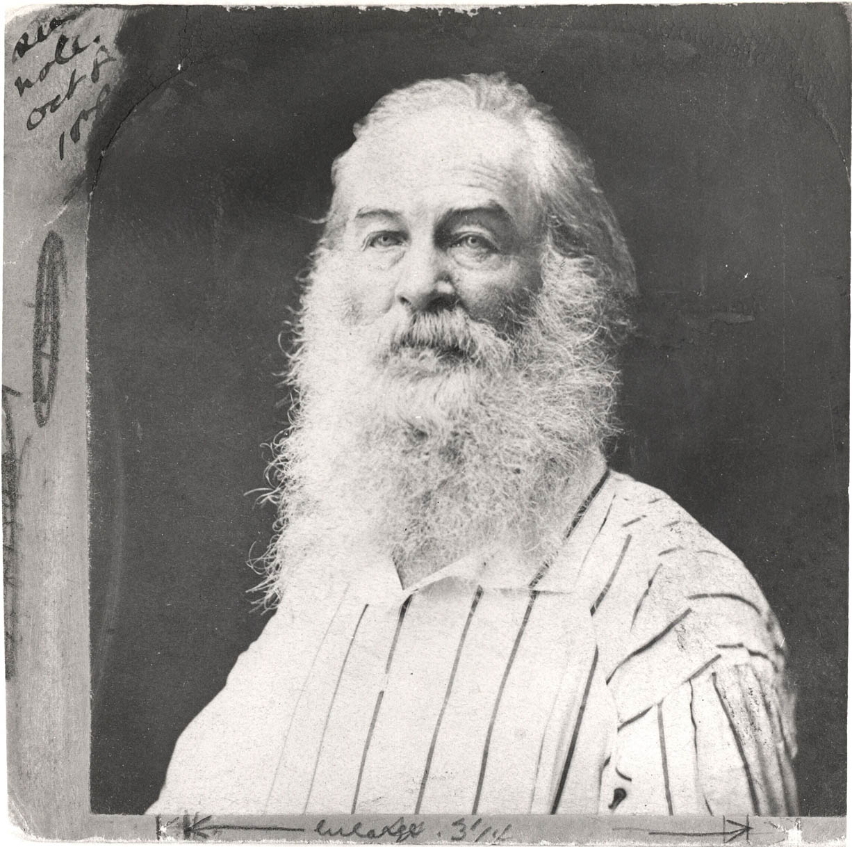 Whitman in a striped shirt. (Photo F. Pearsall, mid-1870s.)