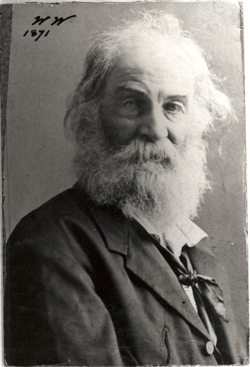 Whitman: the mournful gaze.  (Photo V. W. Horton, 1871)