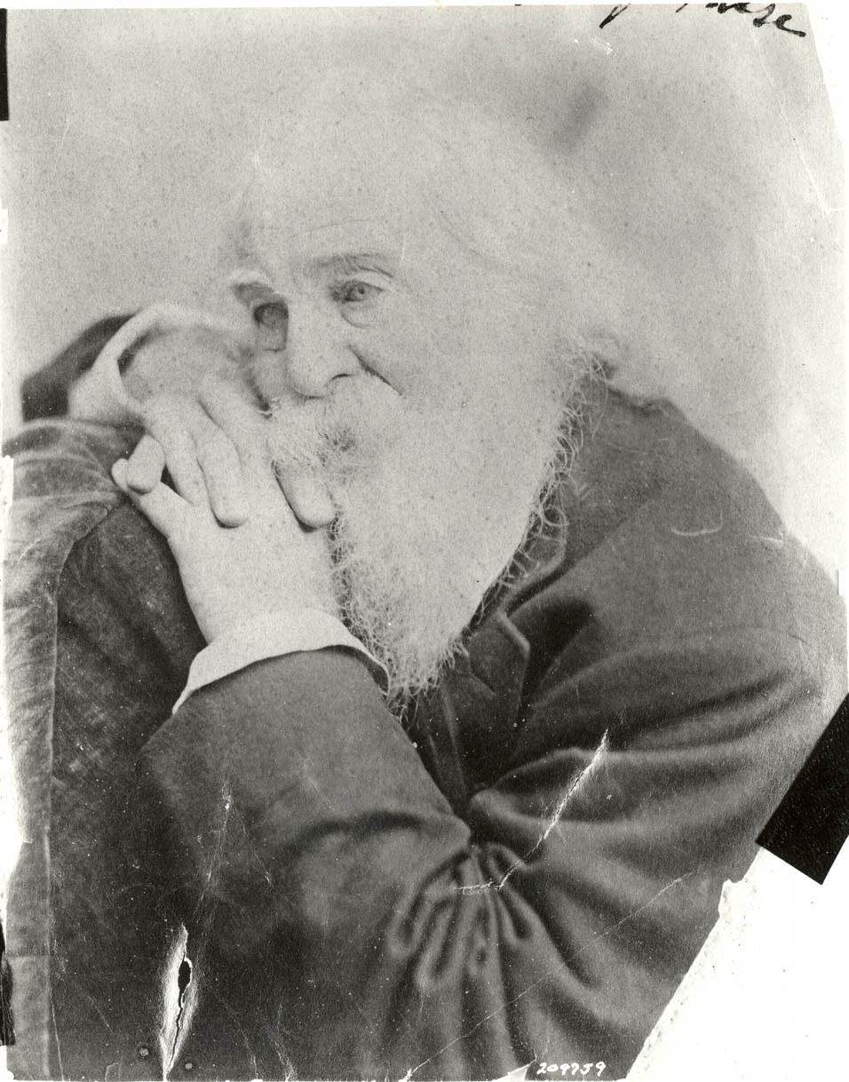 Whitman, 1880s. Photographer unknown.