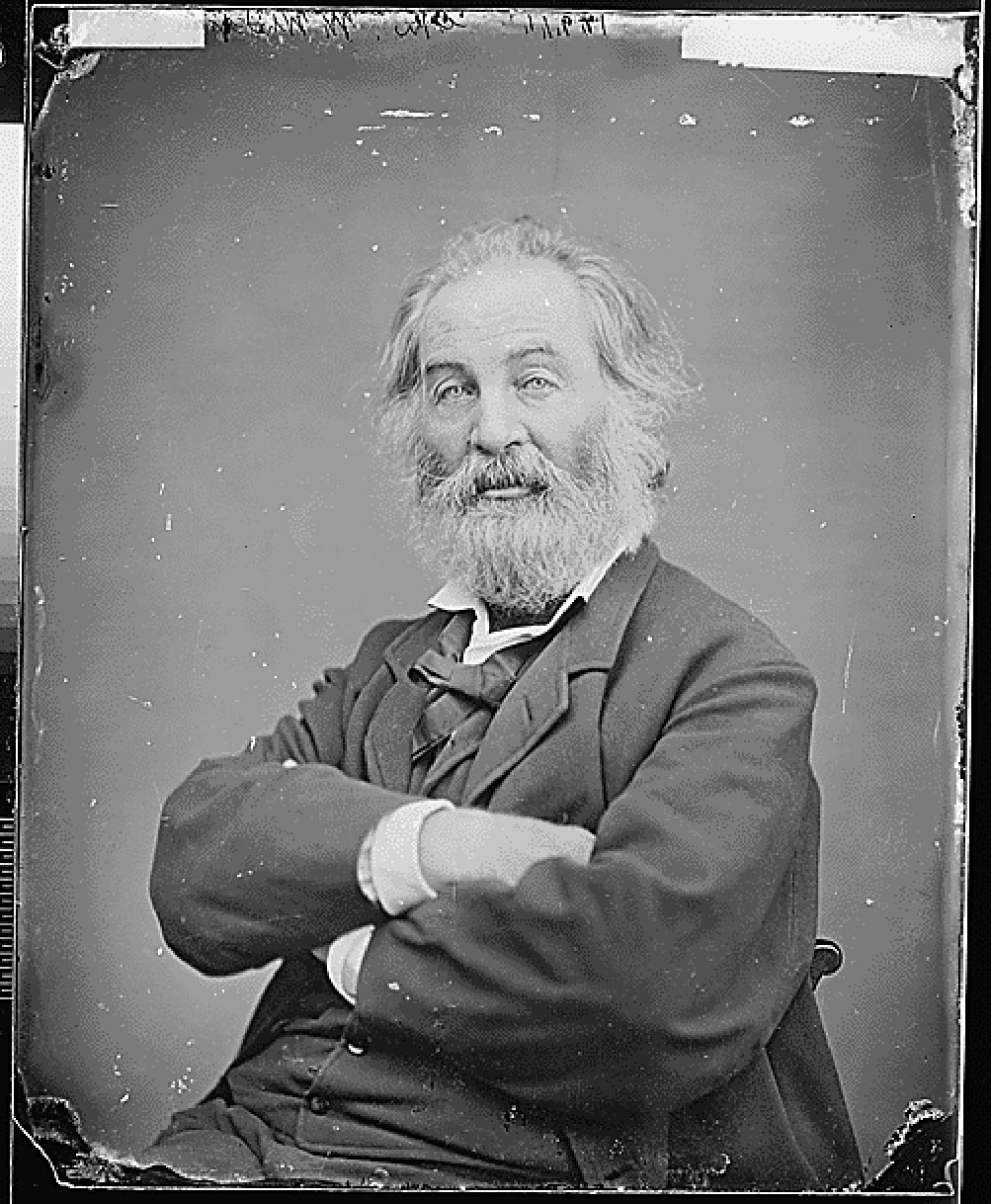 Whitman photographed by Matthew Brady around 1865. That mocking gaze.