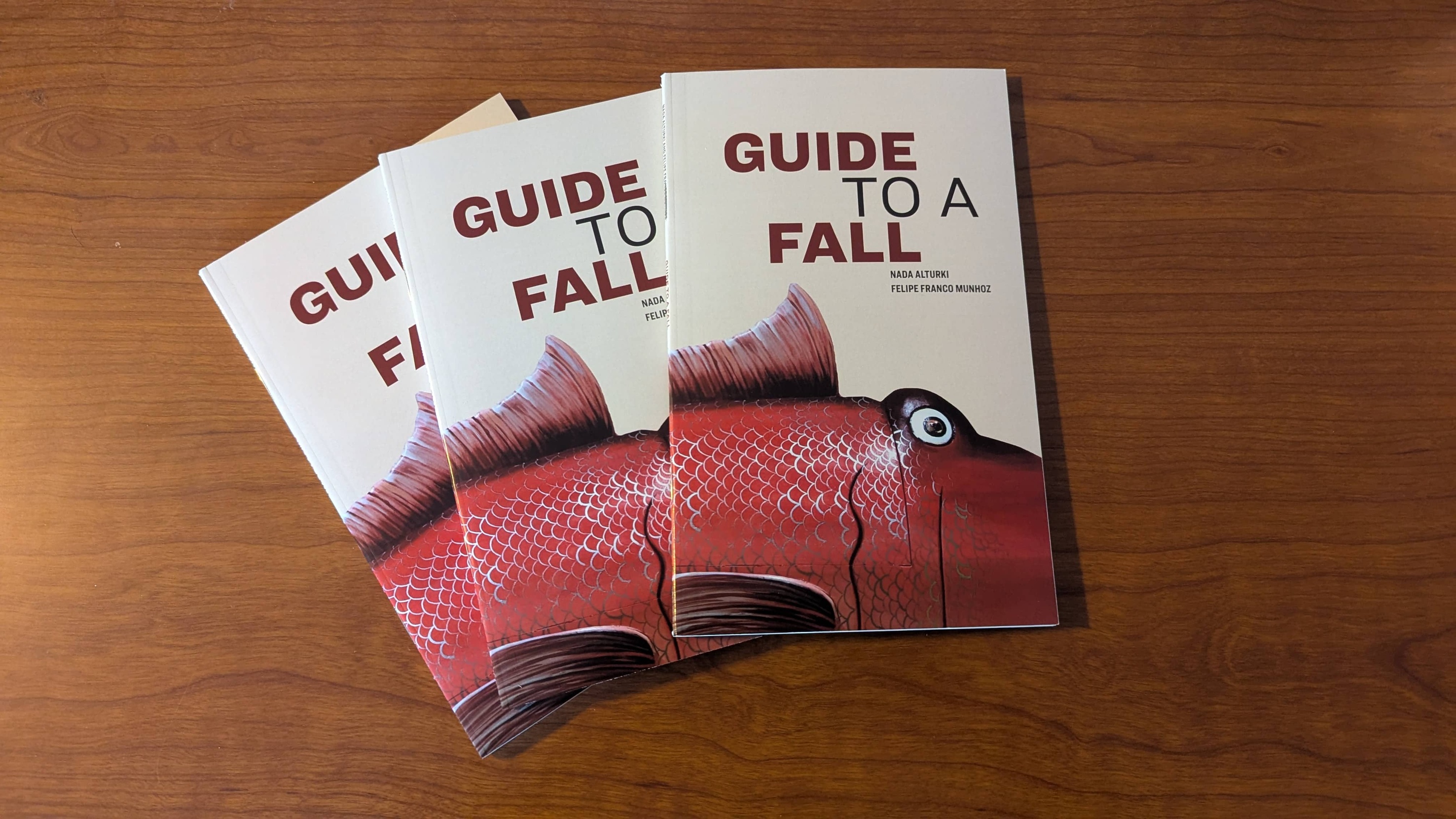 Several copies of the book Guide to a Fall, fanned out on a desk.