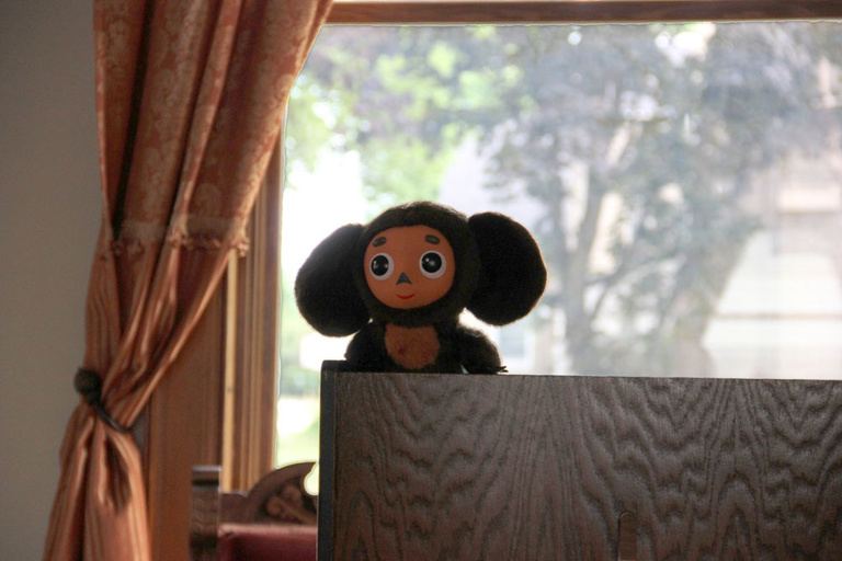 A picture of Cheburashka: a stuffed animal that resembles a monkey with very large ears.