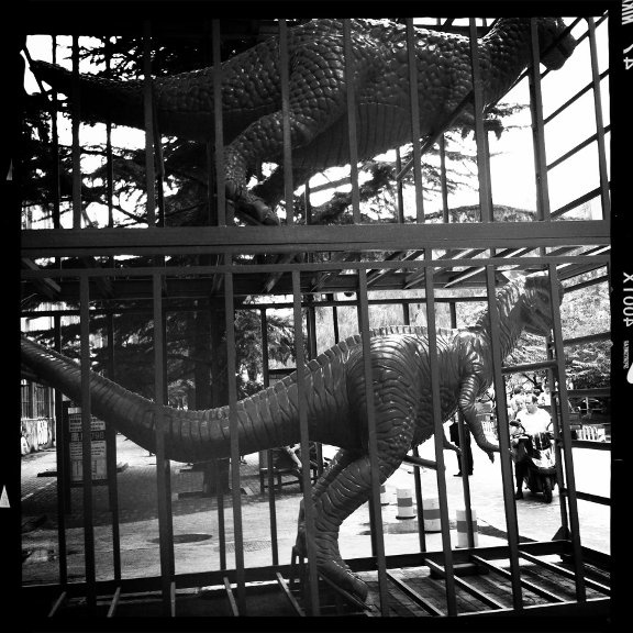 Public art in Beijing's 798 Art Zone - two statues of dinosaurs in cages.