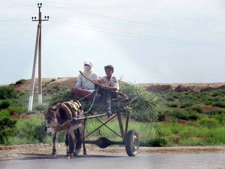 On the road near ancient Merv in Turkmenistan, two people ride in a cart drawn by a donkey.