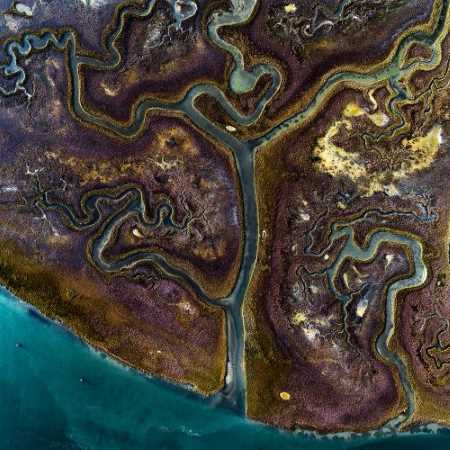 Marsh Land, Photo: © Milan Radisics / Water.Shapes.Earth